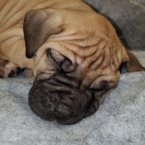 Meet your Posher, Kyle